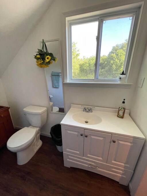 Eden Farm: Private Studio Minutes From Salisbury Luaran gambar